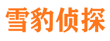 昌江市侦探公司